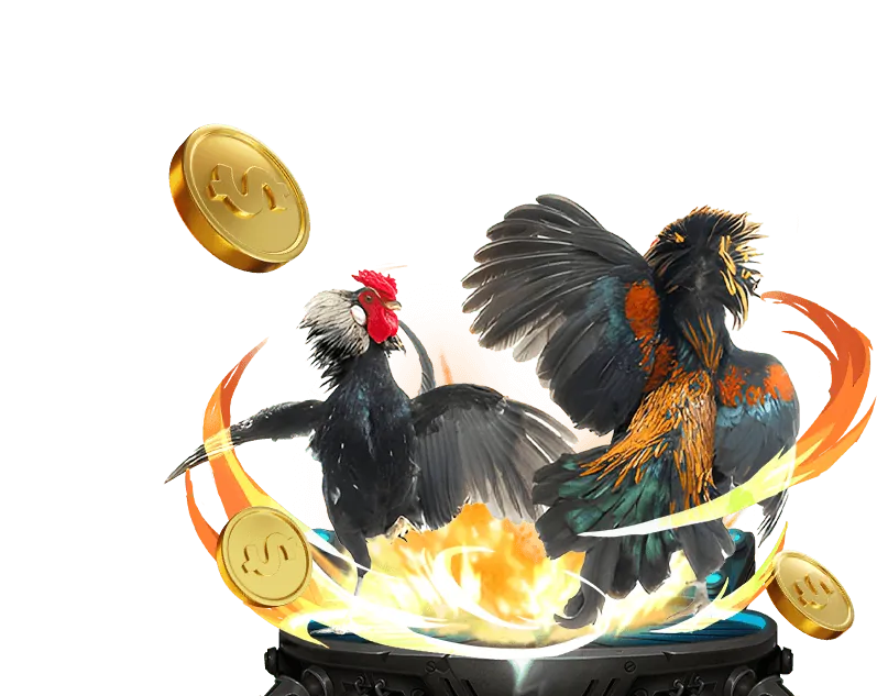 Hình ảnh đội ngũ hỗ trợ khách hàng của fb9