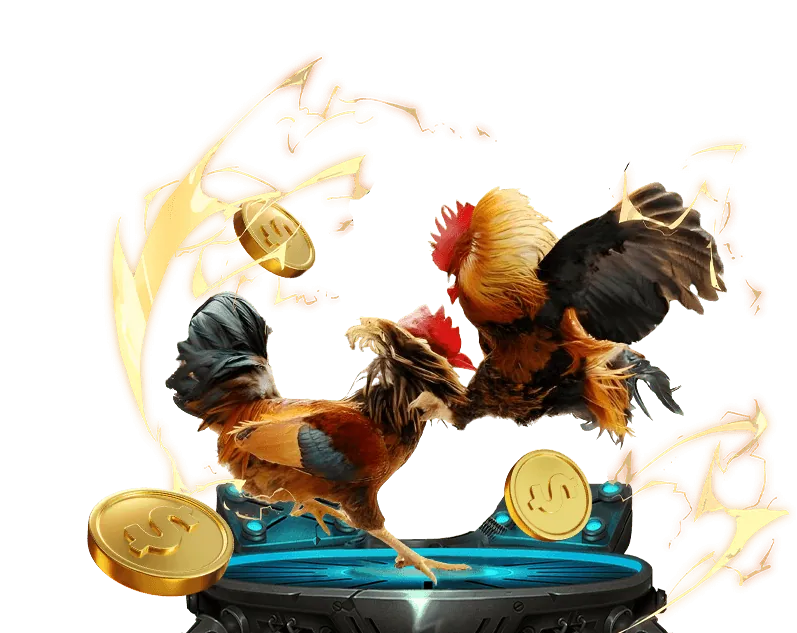 Hỗ trợ khách hàng FB9 24/7